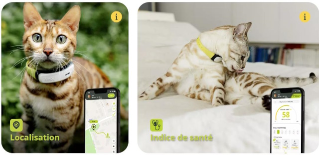 info utiles - Kippy CAT, le premier tracker GPS pour animaux de