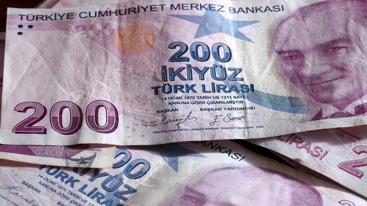 Inflation en Turquie : un taux record de 33,5 % signalé en 2023