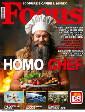 Focus Cover 396 Focus Cover 396