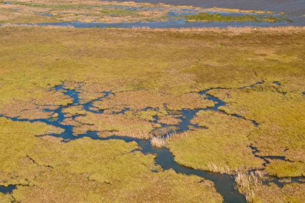 Delta: qué es, cómo se forma y tipos - Qué es un delta