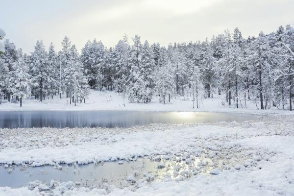 Nieve: qué es, cómo se forma y tipos - Tipos de nieve