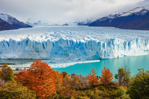 Nieve: qué es, cómo se forma y tipos - Importancia de la nieve en la dinámica de los glaciares