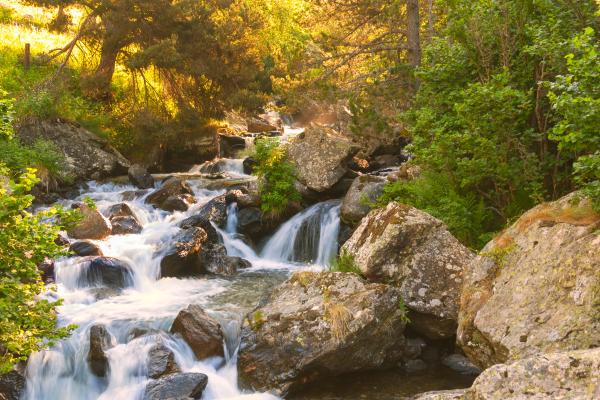 Qué es un arroyo y cómo se forma - Qué es un arroyo