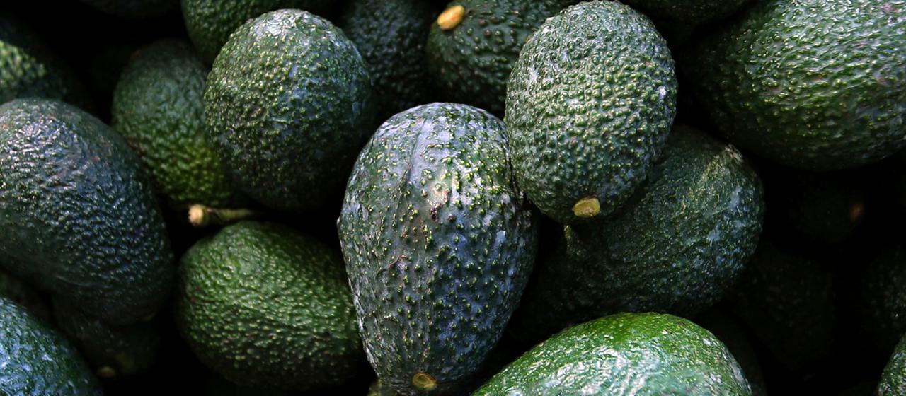 Geerntete Avocados werden in einem Markt angeboten