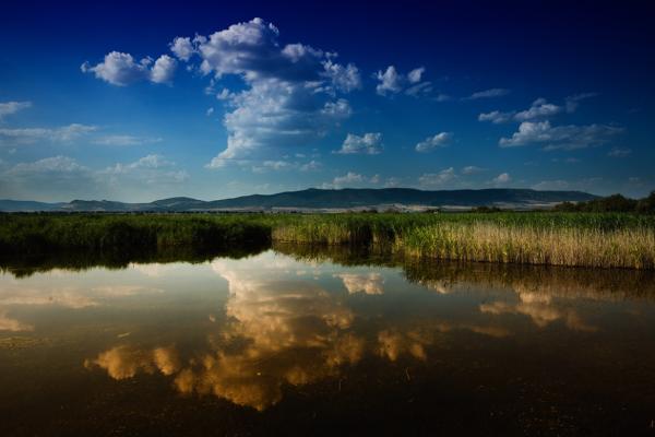 Humedales de España: mapa, nombres e importancia - Parque Nacional Tablas de Daimiel