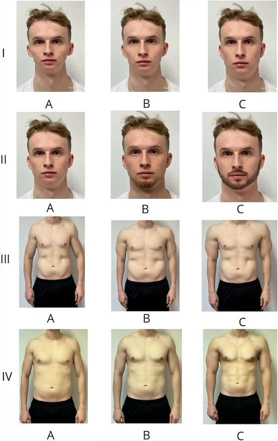 Corps homme Corps homme