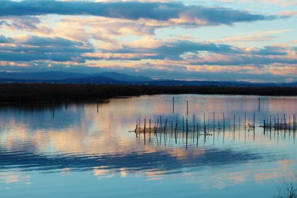 Humedales de España: mapa, nombres e importancia - Parque Natural de la Albufera