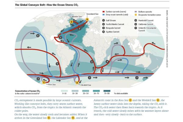 Corriente de Humboldt: qué es, causas y consecuencias - Características de la corriente de Humboldt