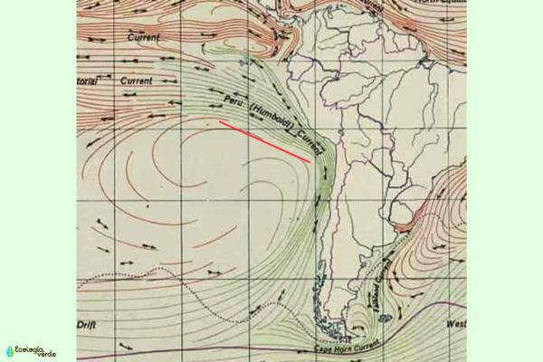 Corriente de Humboldt: qué es, causas y consecuencias - Causas de la corriente de Humboldt