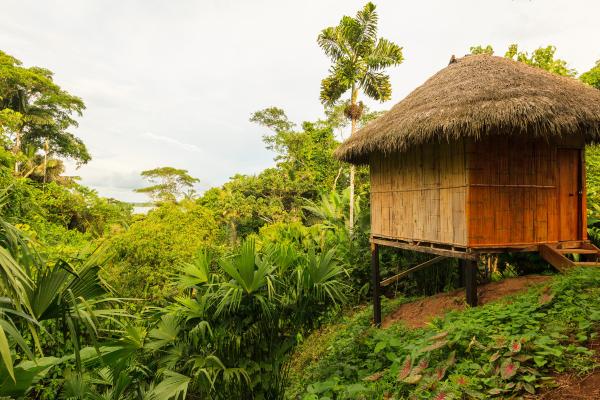 Áreas protegidas del Ecuador - Parque Nacional Yasuní