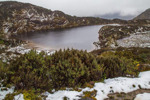 Áreas protegidas del Ecuador - Parque Nacional Cayambe-Coca