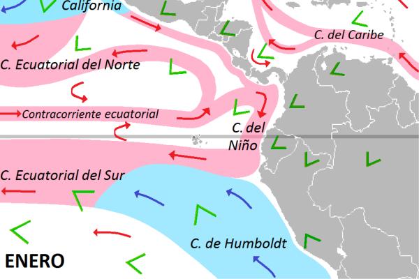 Corriente de Humboldt: qué es, causas y consecuencias - Qué es la corriente de Humboldt