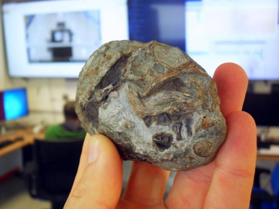 Uovo di Lystrosaurus