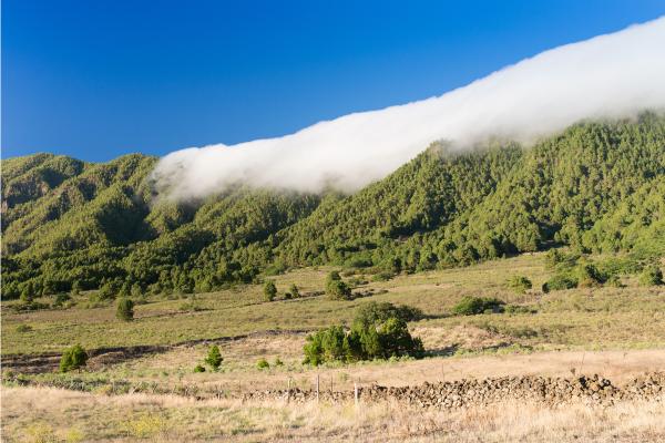 Efecto Foehn: qué es y cómo se produce - Cómo se produce el efecto Foehn
