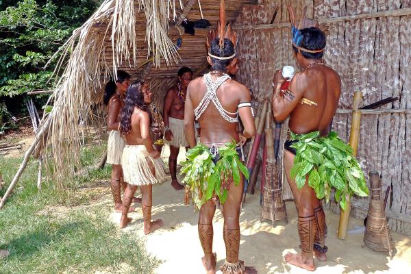 Selva amazonónica: qué es, dónde está, animales y tribus - Tribus de la selva amazonica