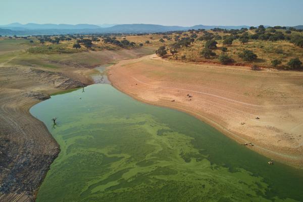 Embalses más grandes de España - Embalse de Valdecañas