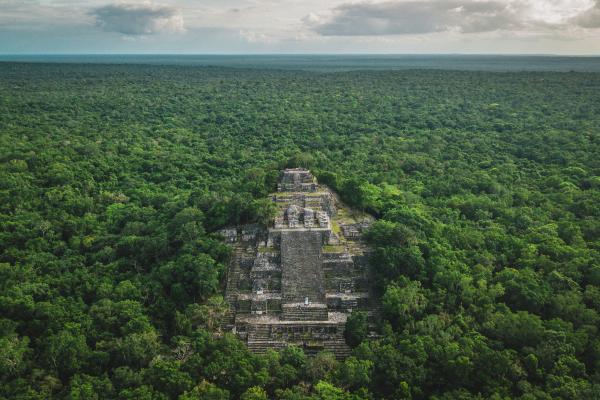 Áreas naturales protegidas de México - Reserva de la Biosfera Calakmul (Campeche)