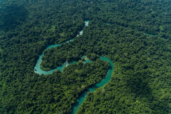 Áreas naturales protegidas de México - Reserva de la Biosfera Montes Azules (Chiapas)
