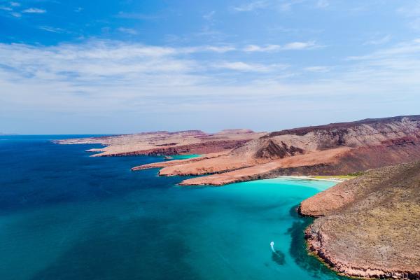 Áreas naturales protegidas de México - Área de Protección de Flora y Fauna Islas del Golfo de California (Baja California Sur)