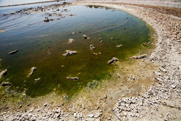 Problemas ambientales en Uruguay - Contaminación del agua