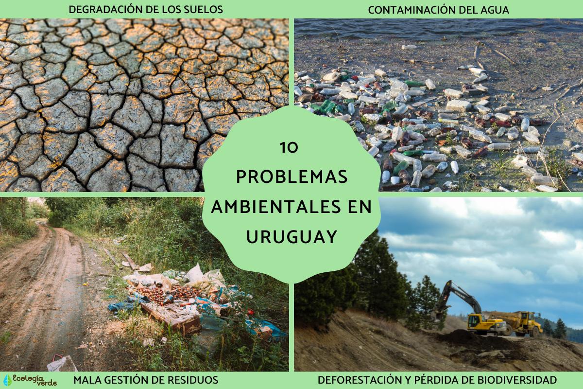 Problèmes environnementaux en Uruguay