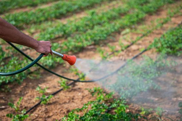 Problemas ambientales de Paraguay - Uso indiscriminado de agroquímicos
