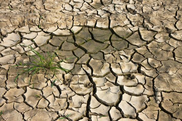 Problemas ambientales de Paraguay - Pérdida de suelos
