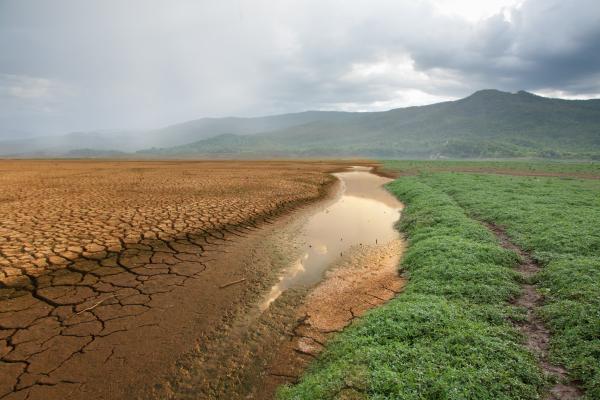 Problemas ambientales de Paraguay - Cambio climático