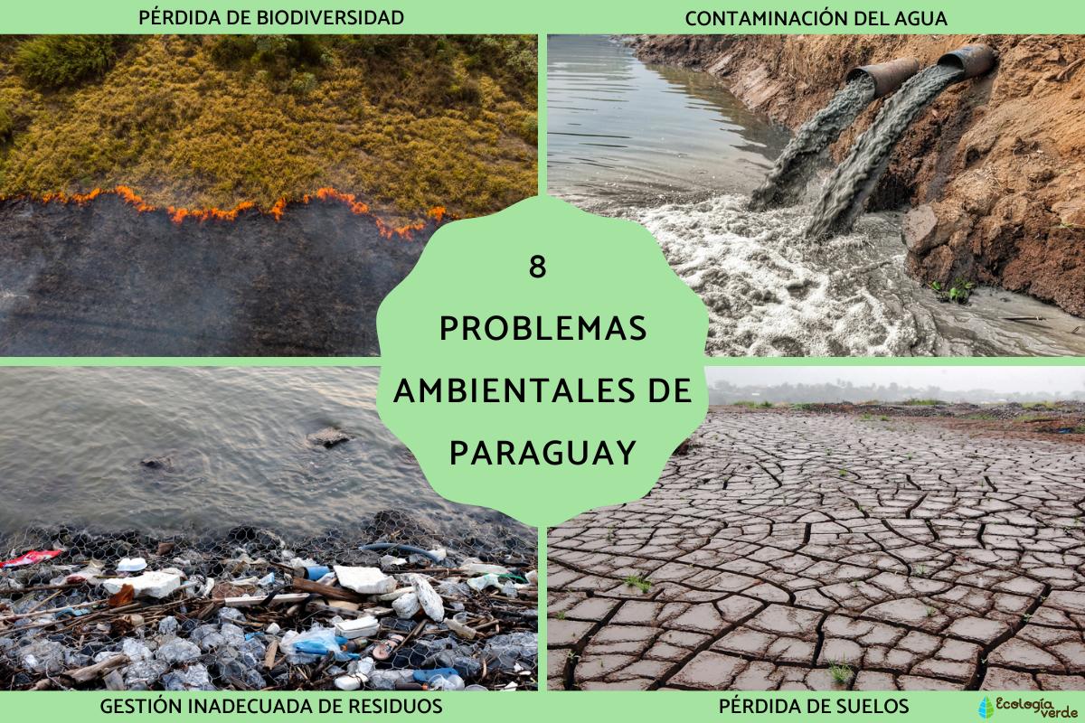 Problèmes environnementaux au Paraguay