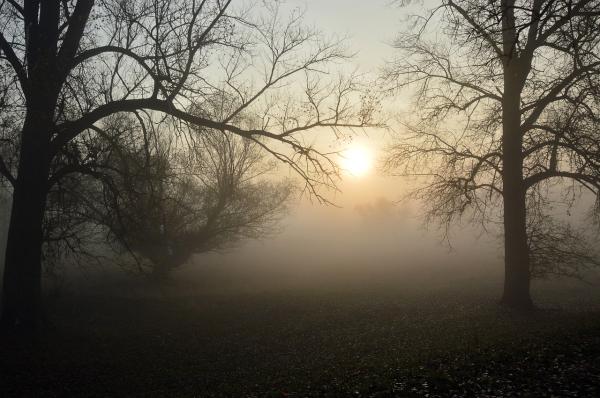 Niebla: qué es y cómo se forma - Qué es la niebla