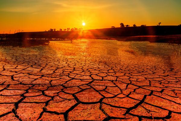 Era de la ebullición global: qué es, consecuencias y soluciones - Qué es la era de la ebullición global