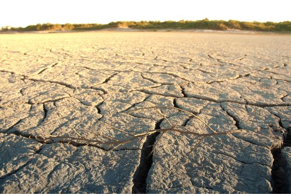 Problemas ambientales en Uruguay - Degradación de los suelos