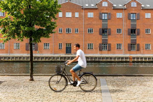 Ciudades verdes: qué son y ejemplos - Cómo funcionan las ciudades verdes