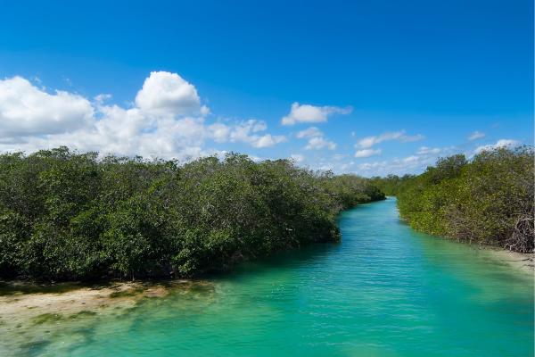 Áreas naturales protegidas de México - Reserva de la Biosfera Sian Ka´an (Quintana Roo)