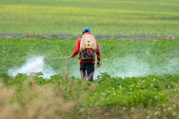 Problemas ambientales en Nicaragua - Contaminación por pesticidas en la agricultura