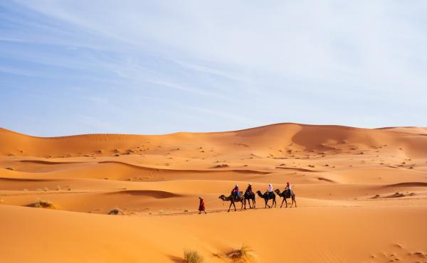 Tipos de desiertos - Desiertos cálidos