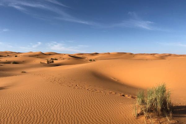 Tipos de desiertos - Desiertos de arena