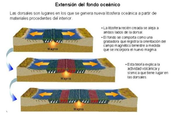 Qué son las dorsales oceánicas - Formación de las dorsales océanicas