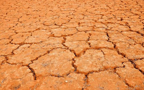 Desastres naturales en el mundo - Sequía en África Oriental