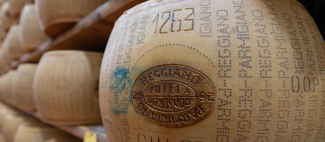 Zahlreiche Parmesan-Laibe liegen in Regalen nebeneinander.