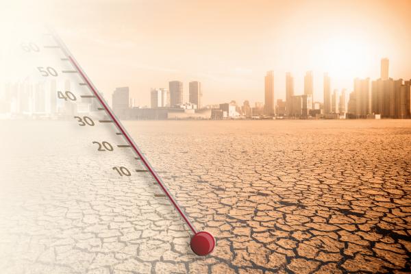 Factores ambientales: qué son y cuáles son - Factores abióticos