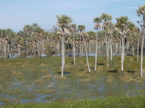 Humedales en Argentina - Humedales del Chaco