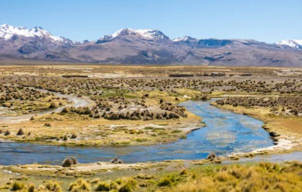 Humedales en Argentina - Humedales de la Puna