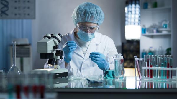 Cuáles son los niveles de bioseguridad: ejemplos y características - Nivel de Bioseguridad 1
