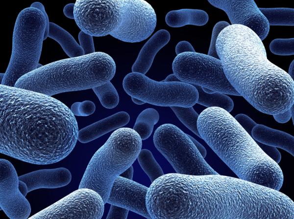 Qué es la taxonomía y cómo se clasifica - Taxonomía de Carl Woese