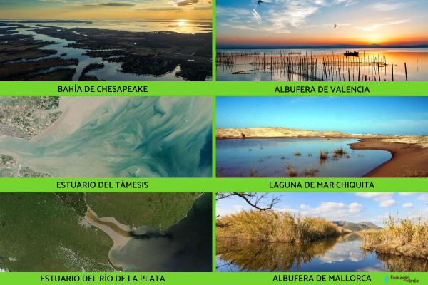 Aguas salobres: définition y ejemplos - Ejemplos de aguas salobres