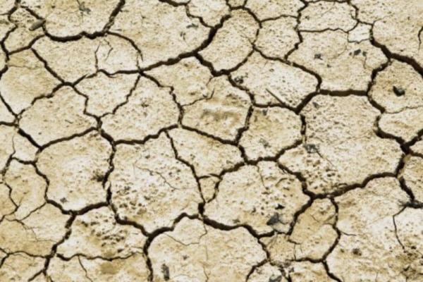 Problemas ambientales en Brasil - Desertificación