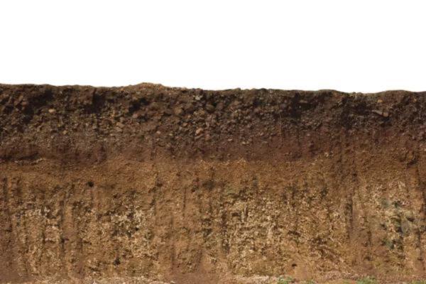 Recursos naturales de Puebla - Suelos