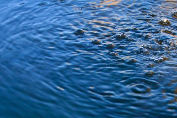 Recursos naturales de Puebla - Agua