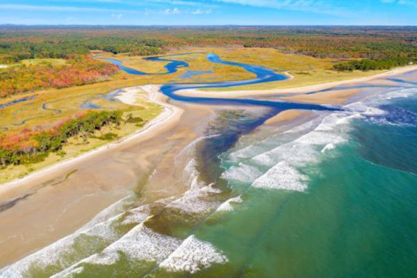 Aguas salobres: definición y ejemplos - Cómo se forma el agua salobre y tipos